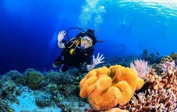 新里程健康集团CEO林杨林获选中国经济新闻人物(2023-2024)·新锐